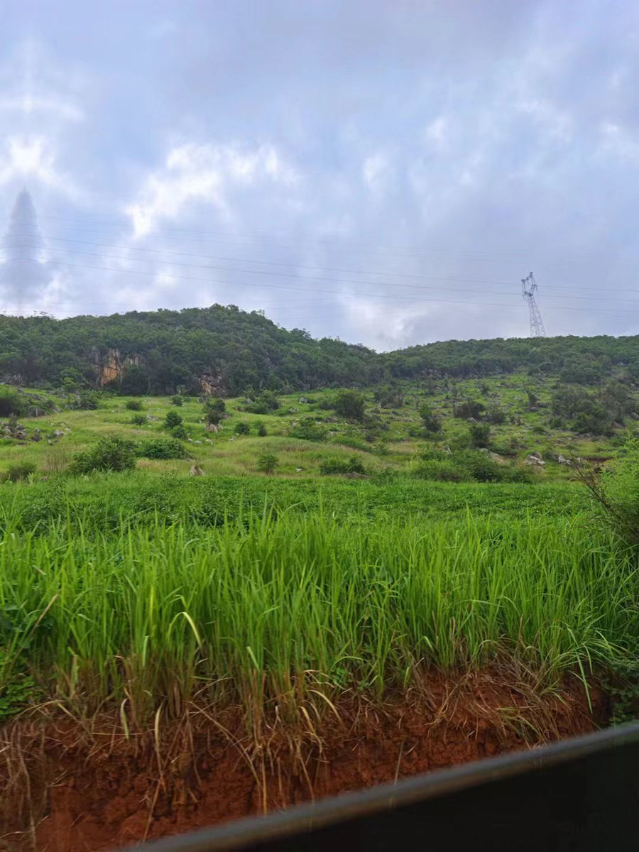 20240701172900561 20240701172900561